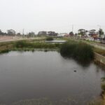 St Clair wetlands - after completion. Source: City of Charles Sturt.