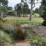 Raingarden and swale at Norman Street Reserve, St Marys