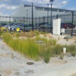 Completed RAA car park and north raingarden, April 2017