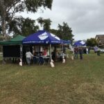 Information sessions on the River Torrens Linear Park