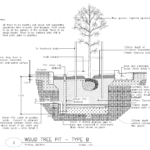 Victoria Drive, Adelaide - bioretention tree pit plan