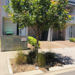 Marden Connect - Arabella Court kerb inlets. Image: Water Sensitive SA