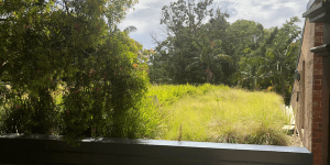 Looking across the Adelaide Zoo green roof retrofit. Image: Water Sensitive SA