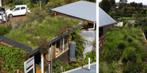 DIY green roof construction at Aldinga. Image: Sam Ryan, Folk of all Trades