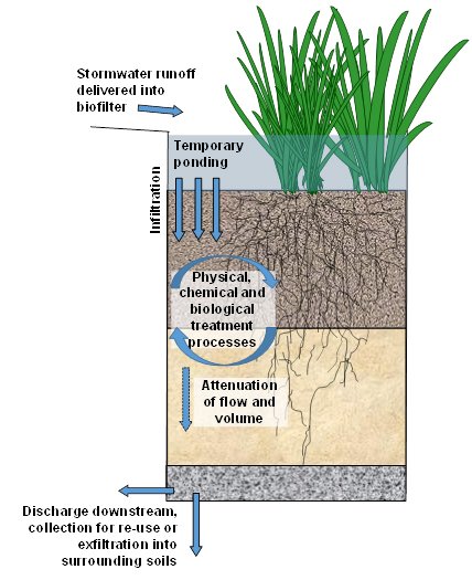 Figure 1: Key principles of stormwater biofiltration (Source: CRC for Water Sensitive Cities, 2015)