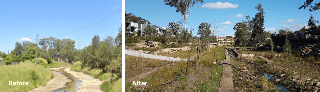 Fairwater riparian corridor rehabilitation, New South Wales