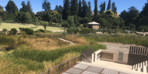 First Creek MAR scheme, Botanic Gardens. Image Water Technology