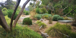 Green roof - Adelaide Zoo