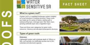 Green roofs fact sheet