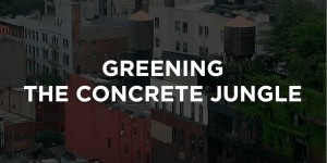 Greening the concrete jungle - Chicago, Toronto, San Francisco & Denver. Source: The B1M