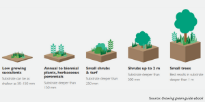 Growing medium (substrate) depth for all vegetation types. Source: Growing green guide ebook