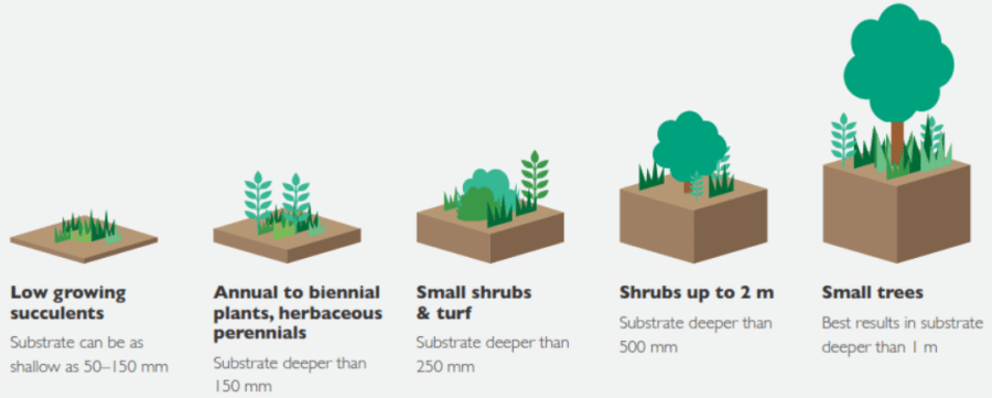 Growing medium (substrate) depth for all vegetation types. Source: Growing green guide ebook